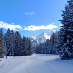 Cross Country Skiing Italy Nordic Ski Adventures