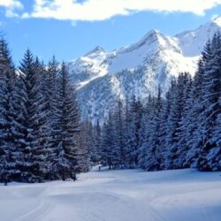 Guided Ski Trips Italy Nordic Ski Adventures
