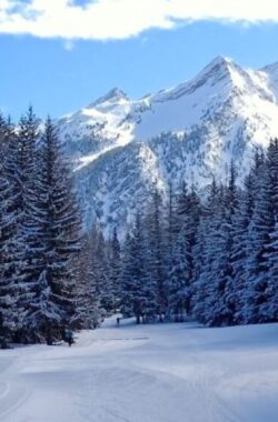 Guided Ski Trips Italy Nordic Ski Adventures