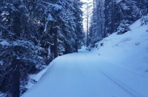 Italy cross country ski holiday Nordic Ski Adventures