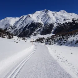 Guided ski trips Italy Nordic Ski Adventures