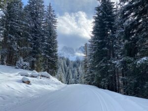 Cross Country Skiing Italy Nordic Ski Adventures