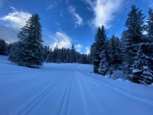 Guided ski trips Italy