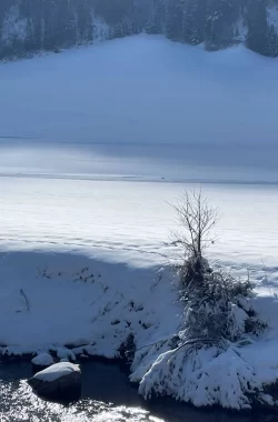 Solo XC skier in Val Casies