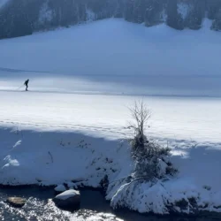 Solo XC skier in Val Casies